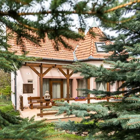 Belle-aire Vendeghaz Matraszentlaszlo Villa Matraszentimre